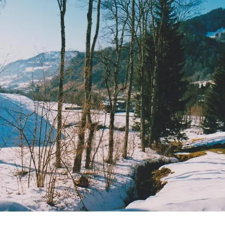 Apartment Confortable A 60 M² Vue Sur Montagnes Megeve